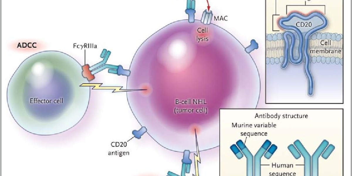 Obinutuzumab Market Future Growth: Forecast & Opportunities 2024-2034