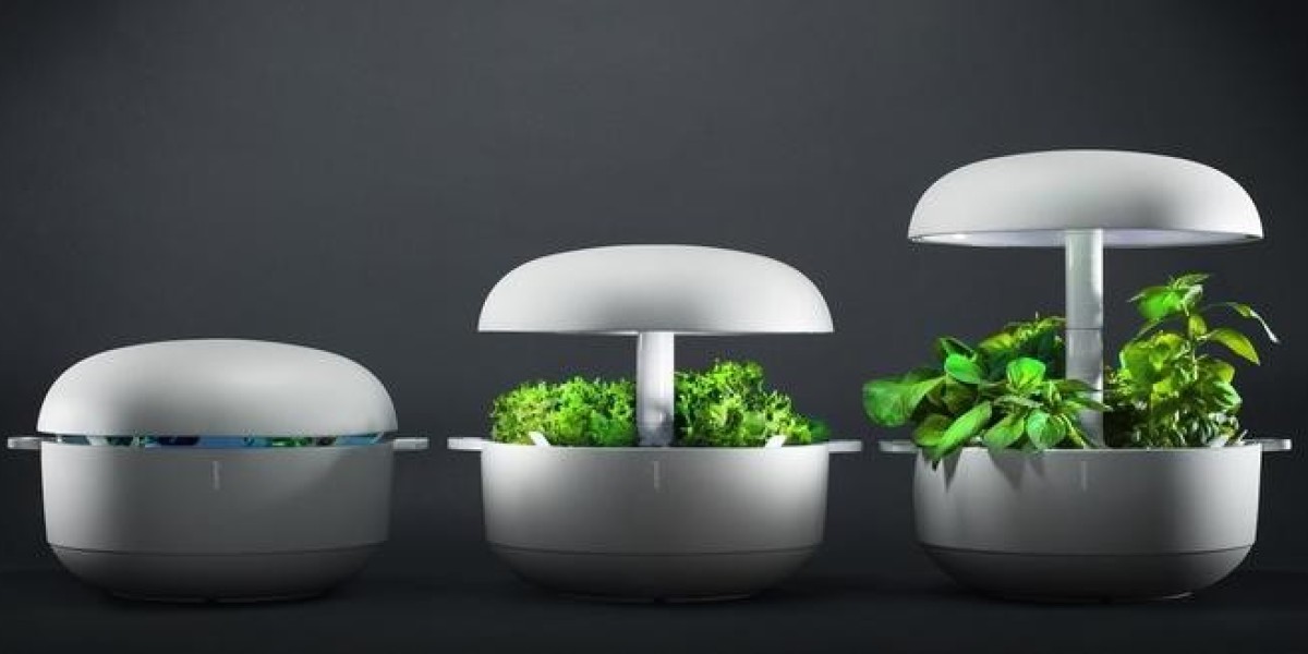 Technological Advancements Fueling Growth in the Smart Planter Market