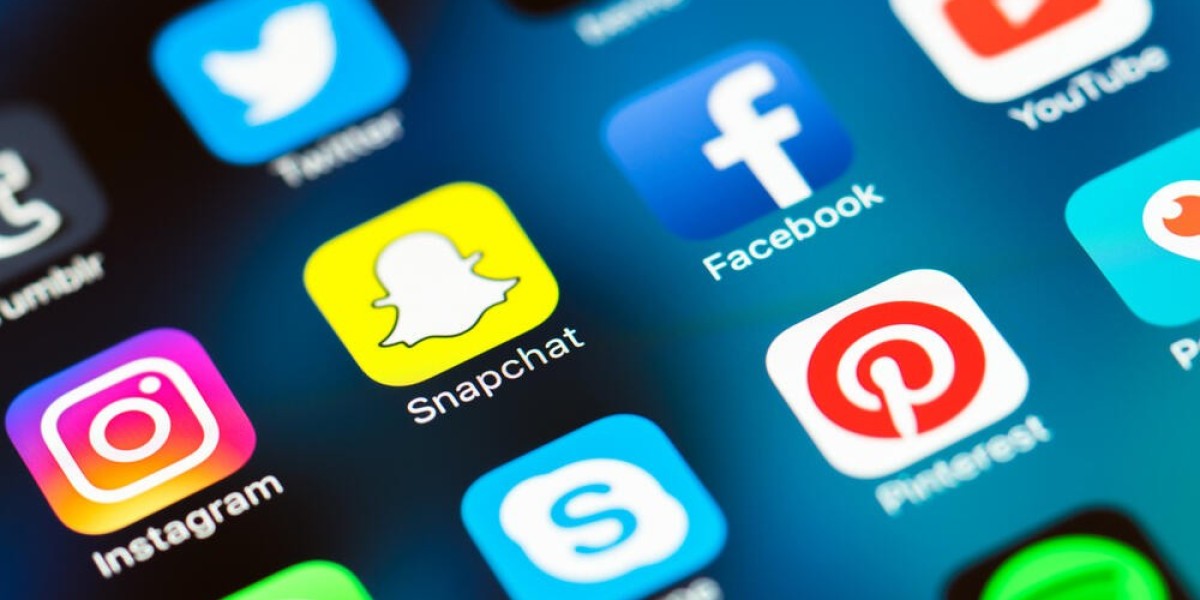 Social Media Insurance Market Long-Term Outlook in the Evolving Digital Landscape