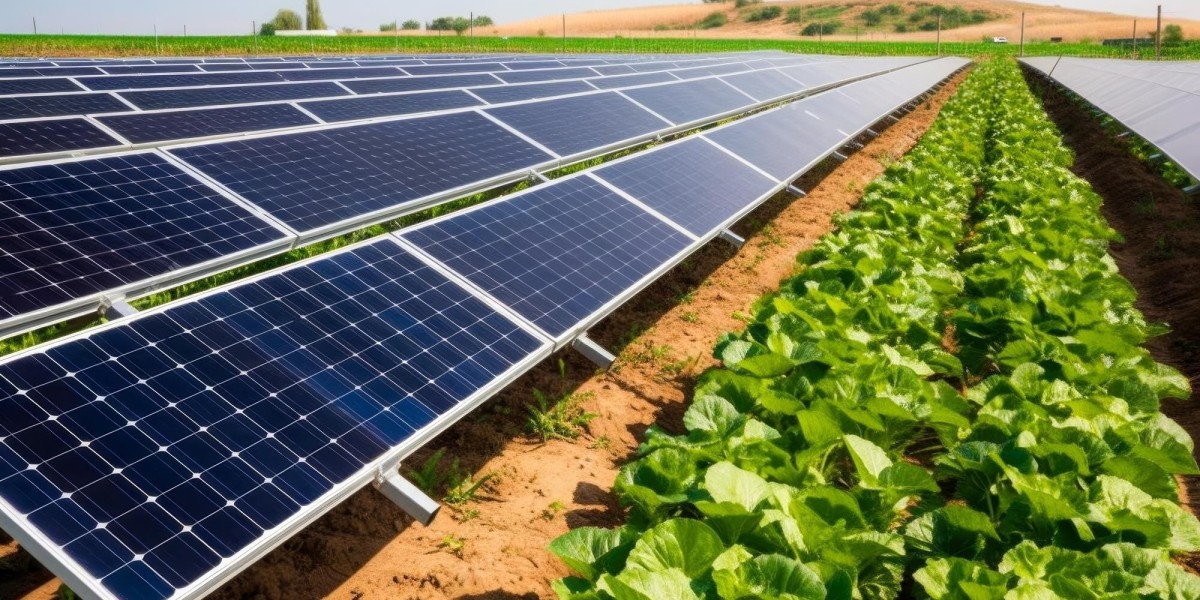 Revolutionizing Agriculture with Solar Solutions in Lahore