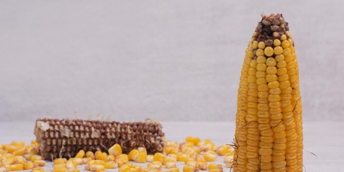 Corn Oil Market Innovations: New Trends and Sustainability Practices