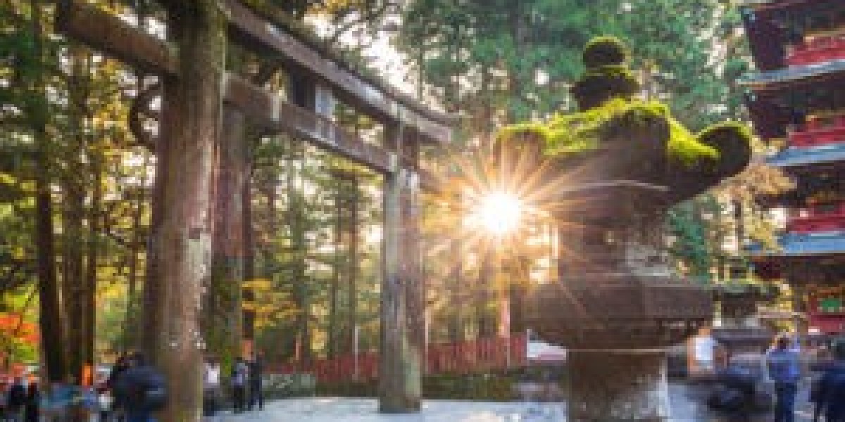 Fuji Private Tours: Customized Experiences with Tokyo Grand Tours
