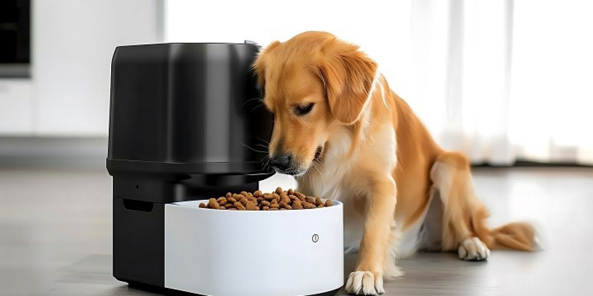 What Makes Wet Puppy Food Different from Dry Options?