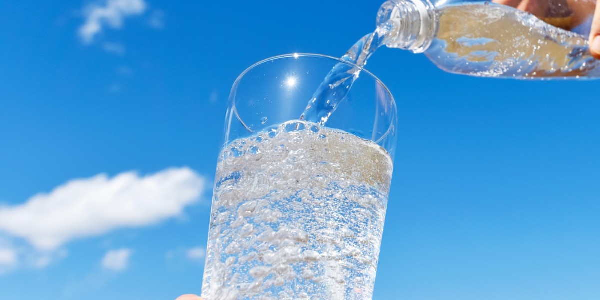 Sparkling Water Market Opportunities: Exploring Emerging Trends and Investment Potential in the Growing Beverage Sector.