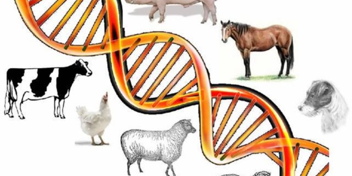 Animal Genetics Market Disruptions Shaping the Future of Livestock Breeding