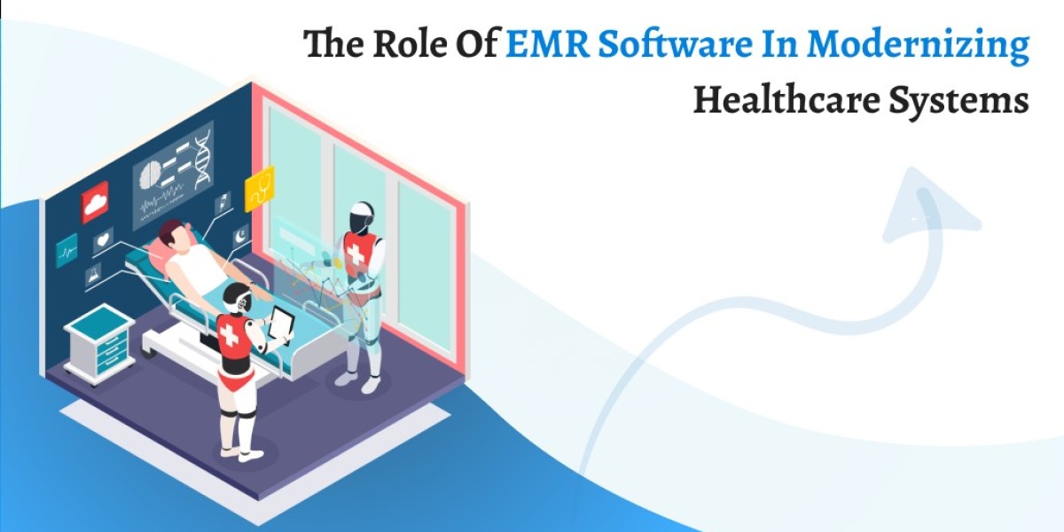 The Role of EMR Software in Modernizing Healthcare Systems