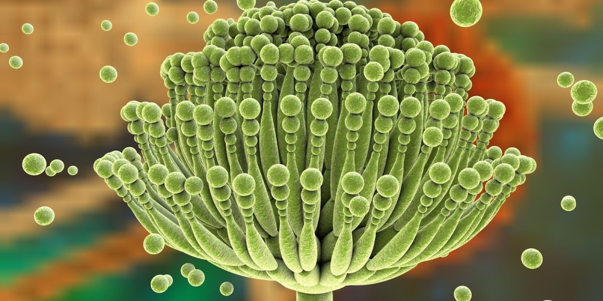 Mycotoxin Binders Market Status, Growth, Trends and Outlook - 2026