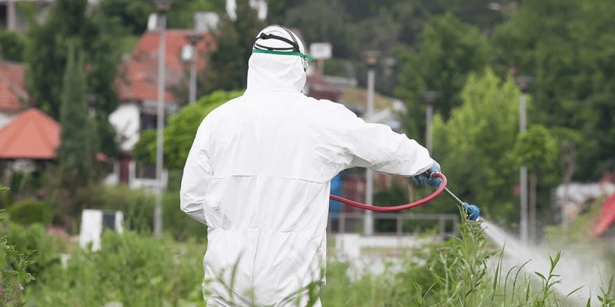 How to Choose the Right Termite Control Professional