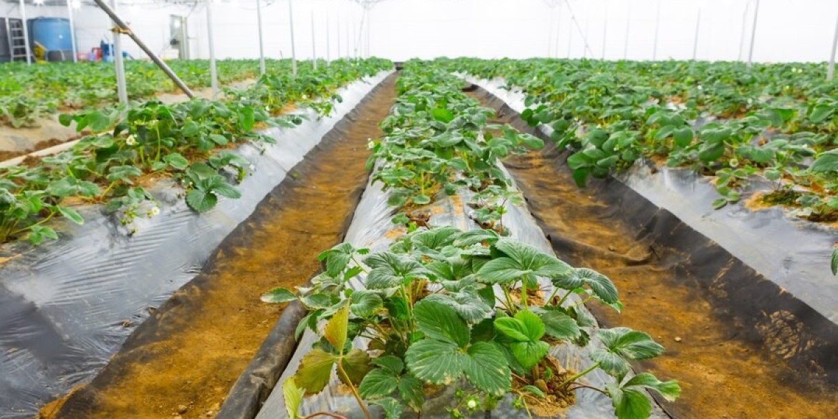 Agricultural Textiles Market Summary of Threats Pain Points and Winning Strategies