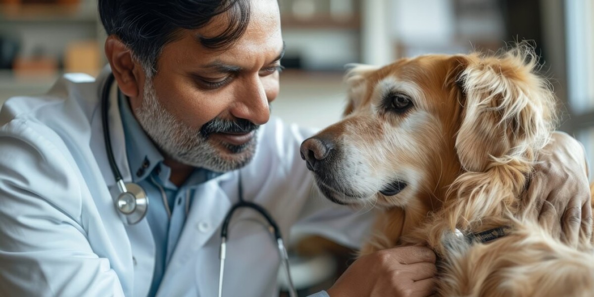 Pet Insurance Market Developments: How Technology and Innovation Are Shaping the Future of Coverage