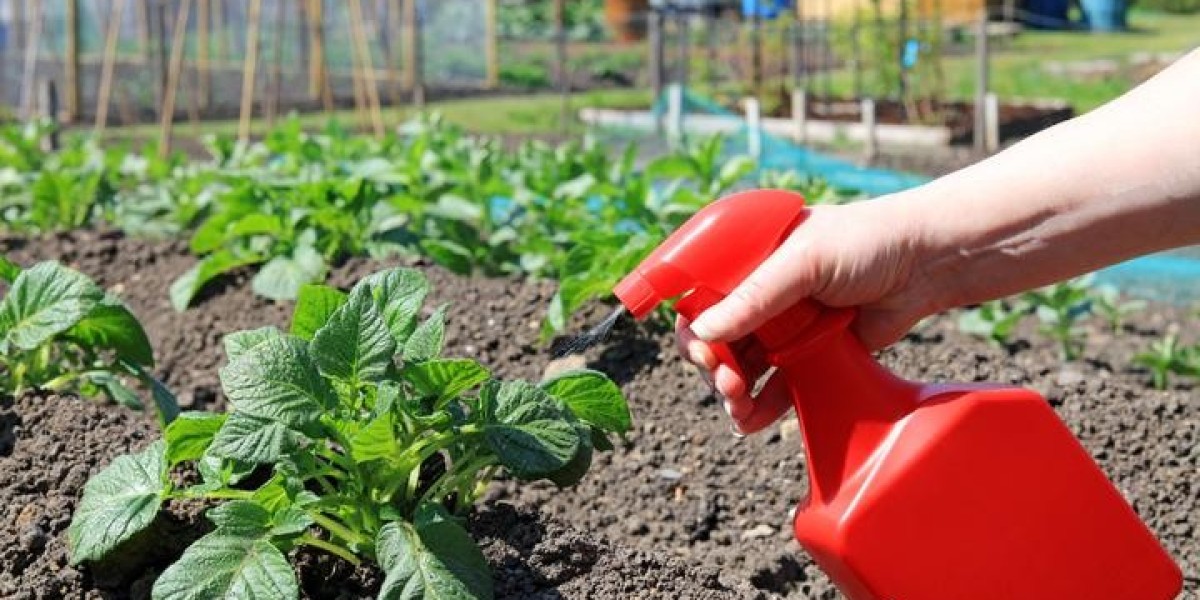 Biofungicides Market Opportunities: Unlocking Growth Potential in Emerging Markets and Innovative Solutions