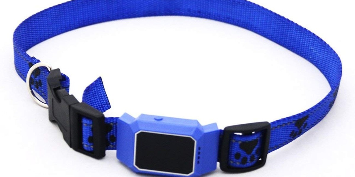 Smart Pet Collar Market Developments Sustainability and Eco Friendly Solutions