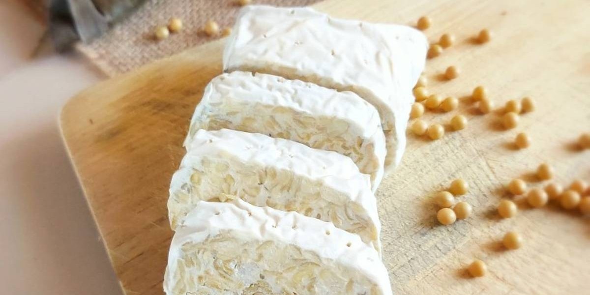 Tempeh Market Forecast The Role of Product Innovation in Expanding Market Reach