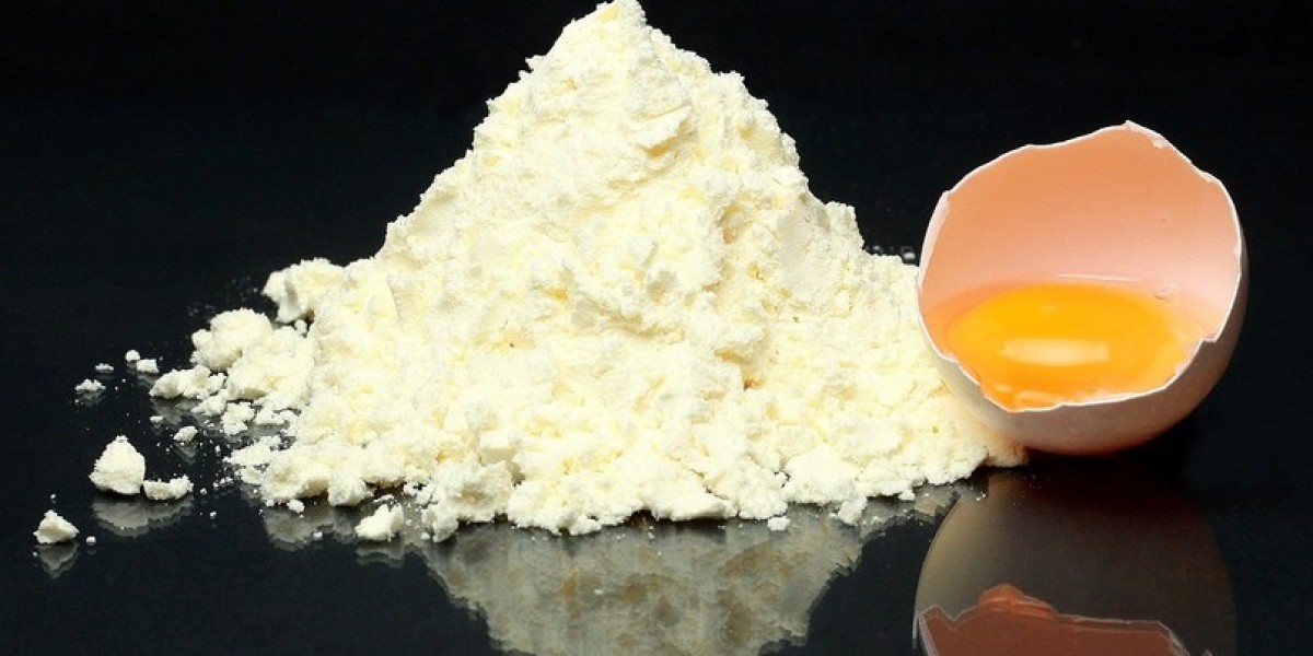 Dried Eggs Market: Key Restraints in Production, Regulations, Consumer Preferences, and Sustainability for Industry Expa