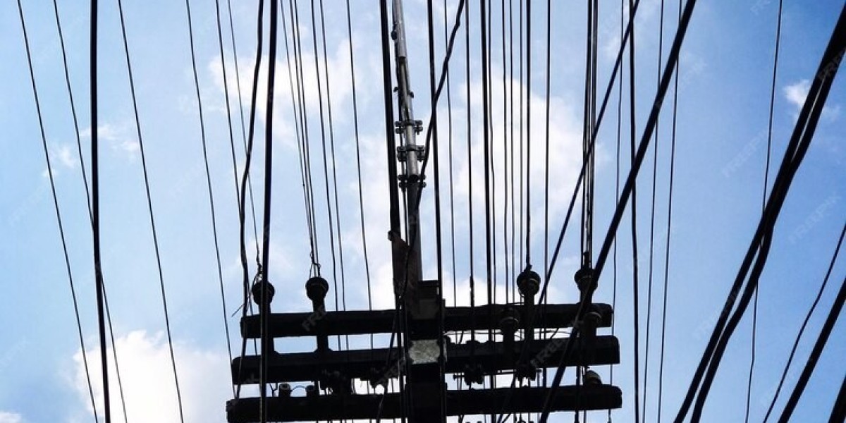 The Evolution of Electrical Steel Market : Technology, Applications, and Market Growth