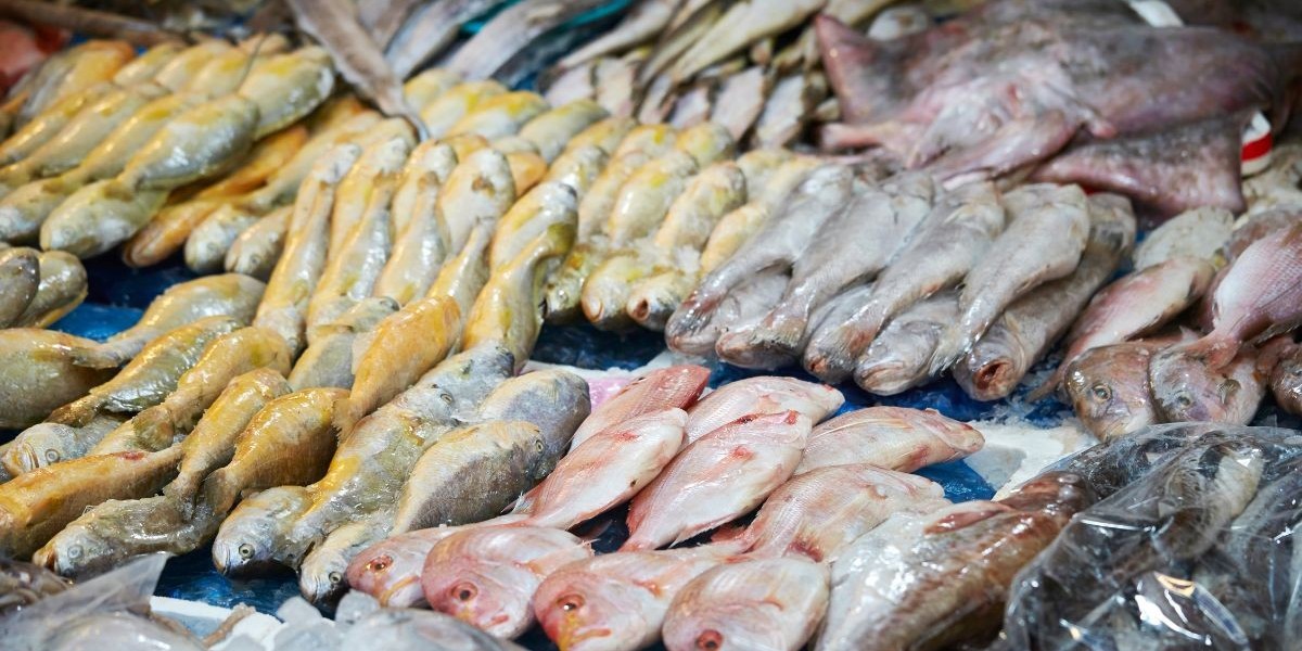 El Mercado del Pescado: Tendencias y Perspectivas de Crecimiento