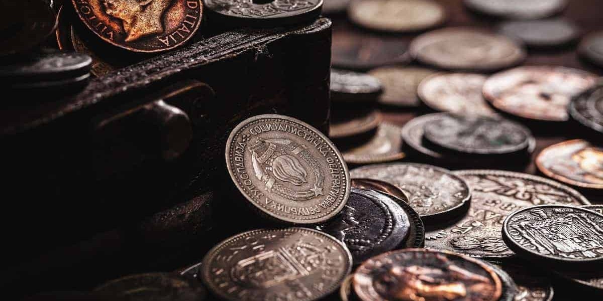 Exploring the Thriving Coin Collection Market