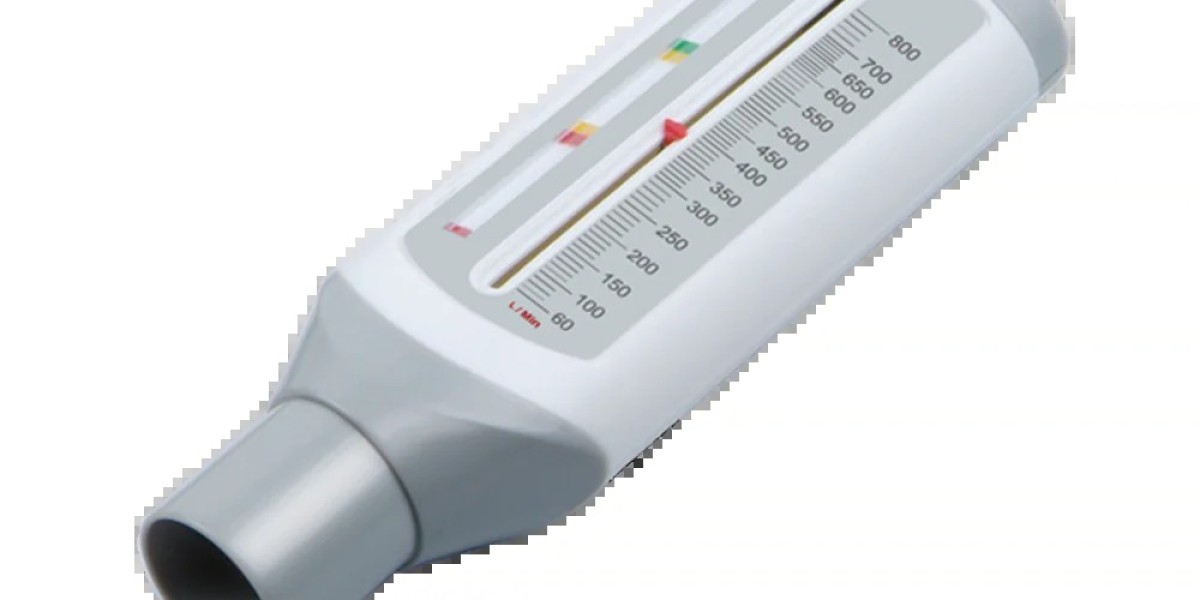 Peak Flow Meter Market: Restraints Affecting Widespread Adoption and Growth
