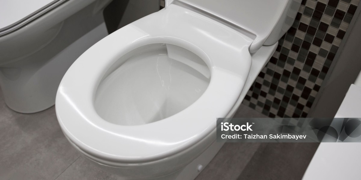 Toilet Seats in Commercial, Residential, and Healthcare Sectors