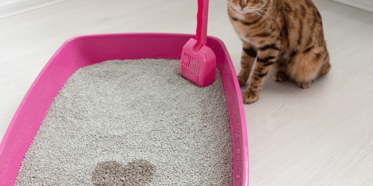 Cat Litter Market Concentration: Factors Driving Large Companies to Dominate the Global Cat Litter Industry.