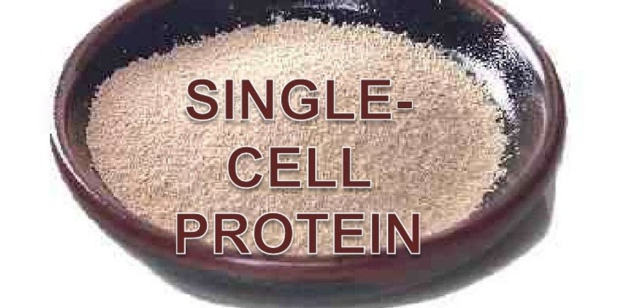 Key Trends Driving the Global Single Cell Protein Market in 2025