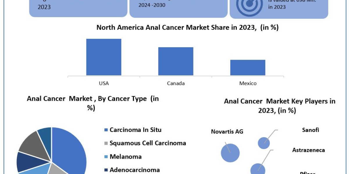 Anal Cancer Market 	Beyond the Numbers Game: Size, Share, Revenue, and Statistics Overview | 2025-2032