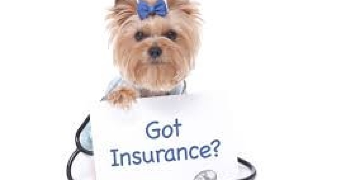 Pet Insurance Market Opportunities:  Rising Pet Ownership Worldwide, Untapped Emerging Markets