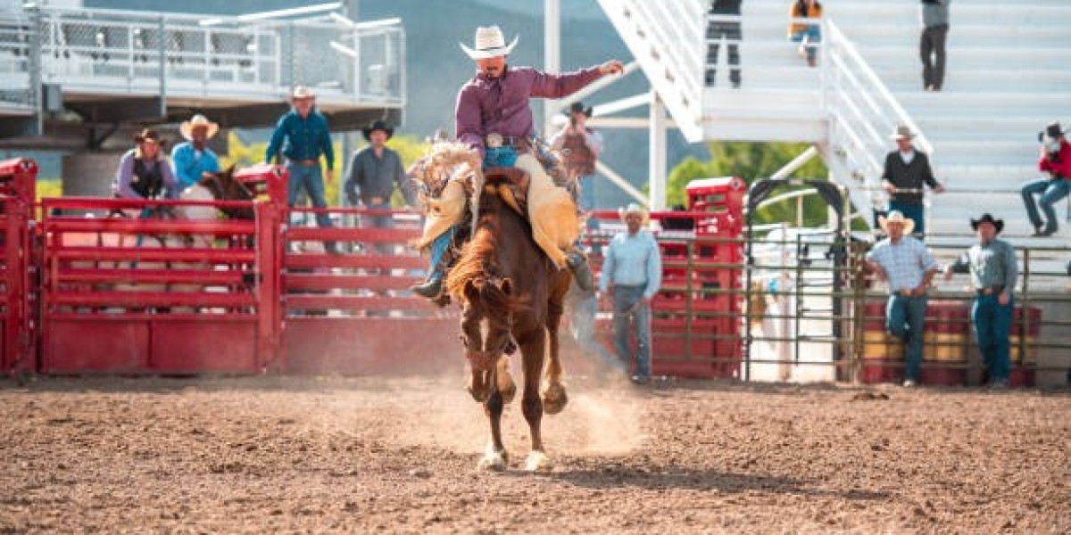 Why Do Bull Riders Wear Chaps