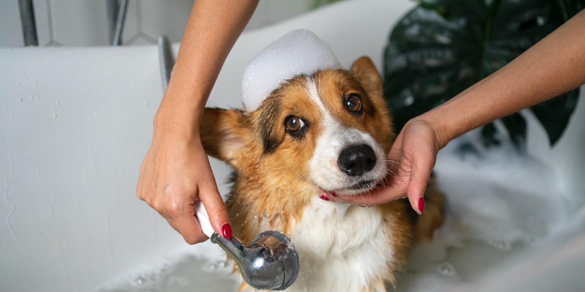Explores the Growing Pet Care Market for Revealing Key Industry Trends and Future Growth Prospects