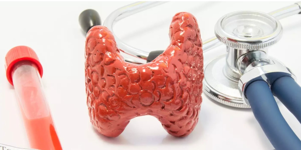 Thyroid Function Test Market Sustainability Trends: Focus on Eco-friendly and Green Diagnostic Solutions
