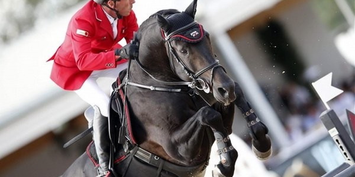 Key Players and Competitive Landscape in Europe’s Equestrian Helmets Market