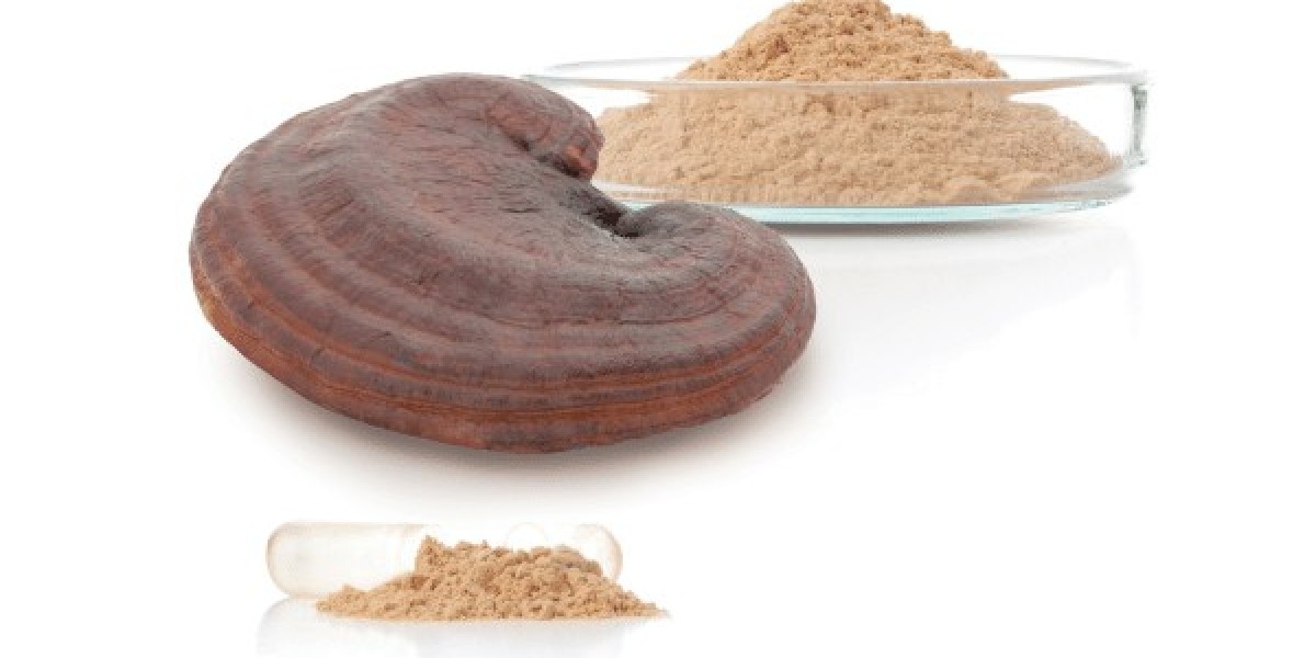 Mushroom Extract Market Potential: Key Drivers and Growth Opportunities in Health and Wellness Sectors