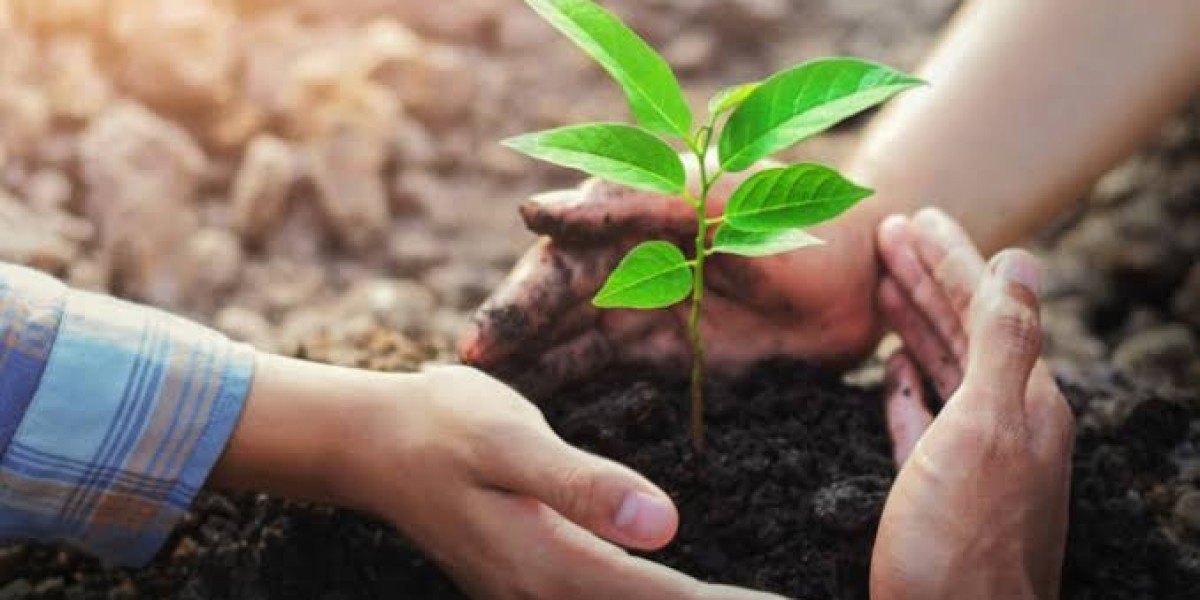 Sustainable Entrepreneurship Renewable Energy: The Green Business Revolution