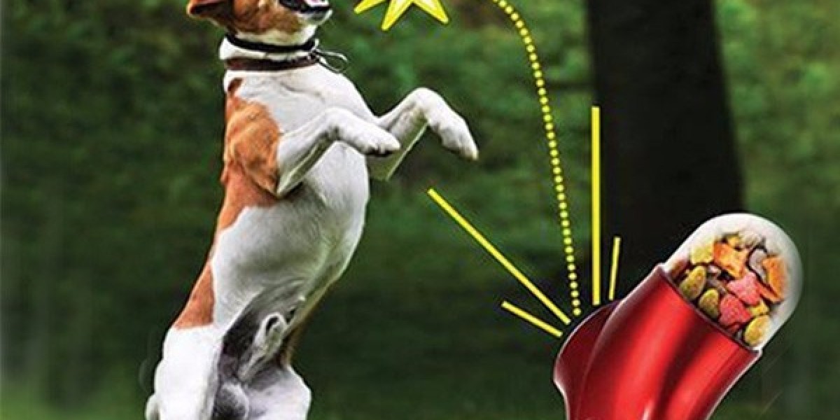 Tech Innovations in the Dog Treat Launcher Market: AI, Robotics, and Future Opportunities