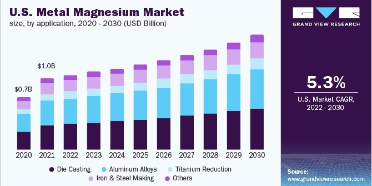 Metal Magnesium Market Developments Emphasize Health Benefits in Nutritional Supplements