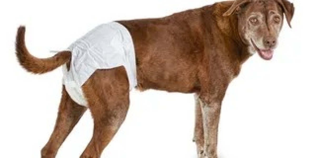 Pet Diaper Market Growth: Key Trends Driving the Expansion in the Global Pet Care Industry