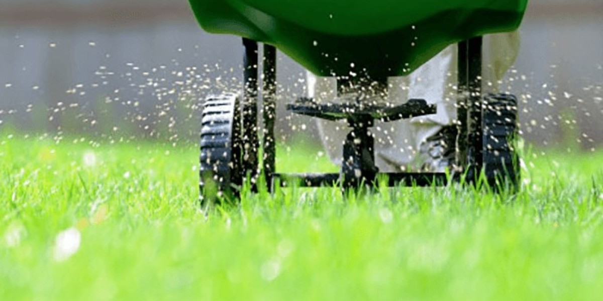 Fertilizer Solutions to Nourish and Enhance Your Lawn