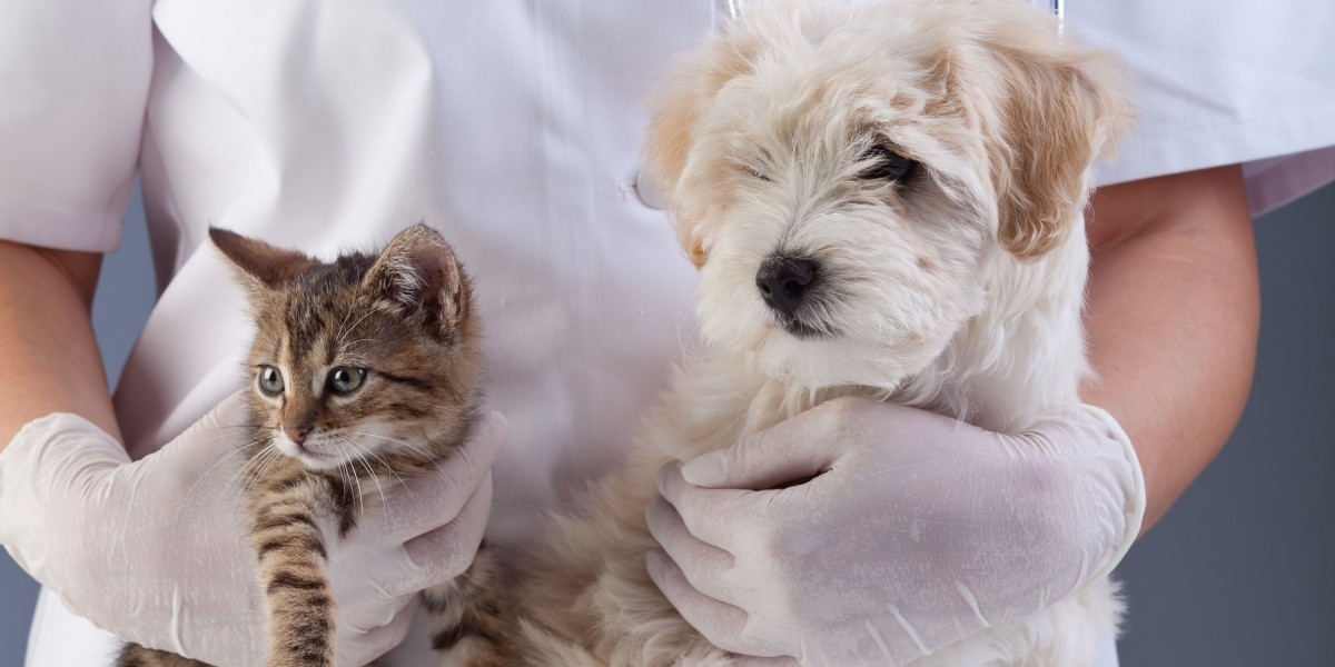 Companion Animals Drugs Market: Key Factors of Growth and Innovation