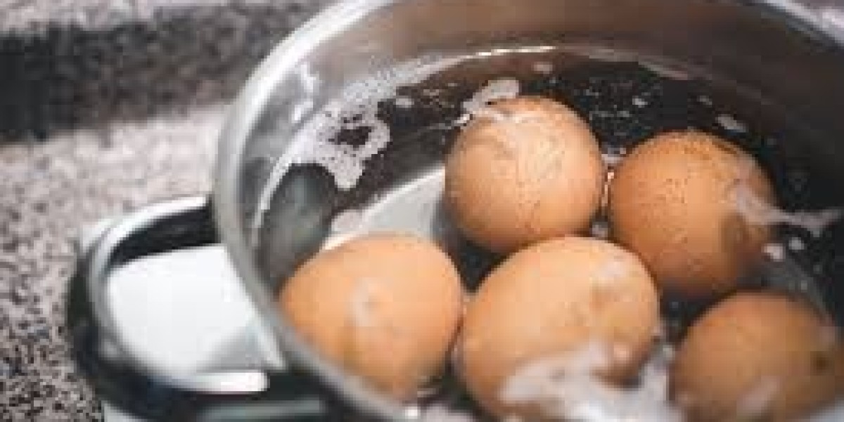 Pasteurized Eggs Market Developments: Key Trends Shaping the Future of Safer Egg Consumption Worldwide