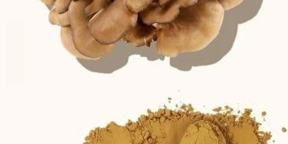 Mushroom Extract Market Opportunities: How Emerging Trends in Wellness Drive Industry Growth and Innovation.