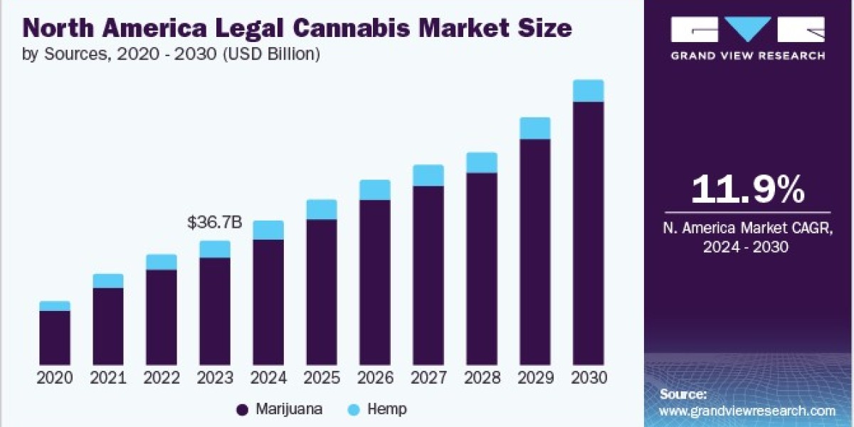 North America Legal Cannabis Market Insights: The Impact of Social Acceptance