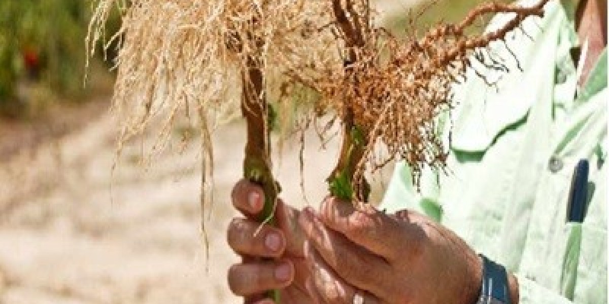 Nematicide Market Estimated to Experience a Hike in Growth by 2034