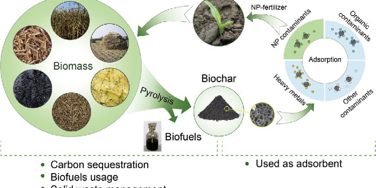 Biochar Market Key Players, Latest Trends and Growth Forecast till 2034