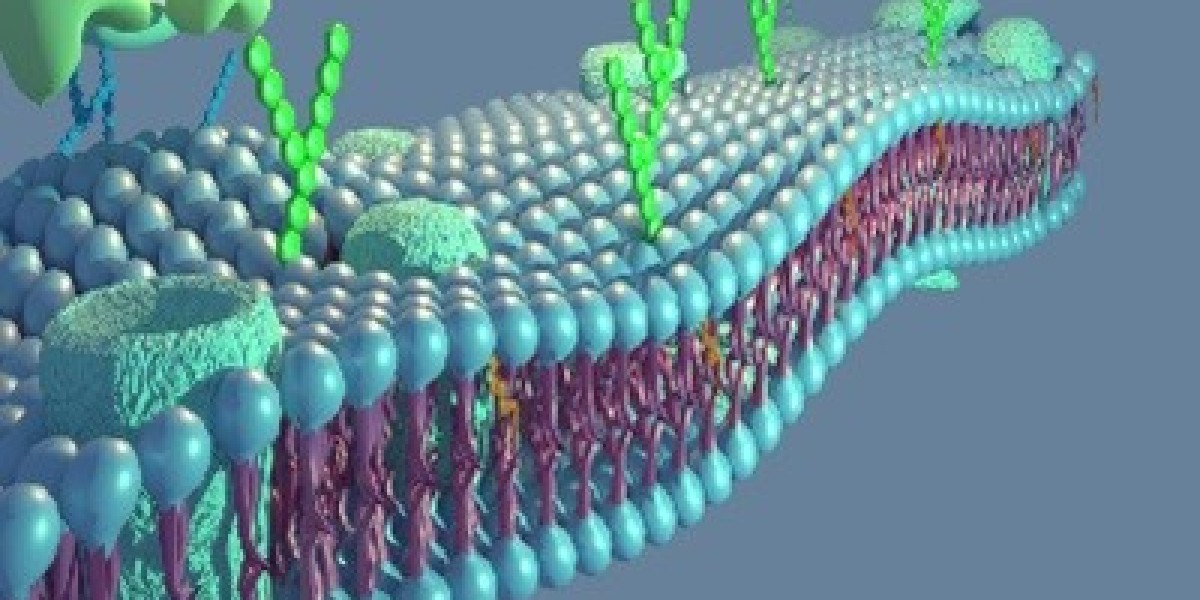 Medical Membrane Market Size, Demand, Analysis, On-Going Trends, Status, Forecast 2031