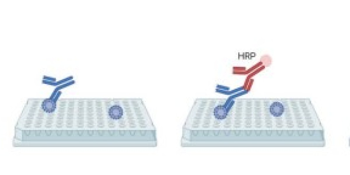 High-Performance HPV IgG ELISA Kit for Accurate and Reliable HPV Antibody Detection