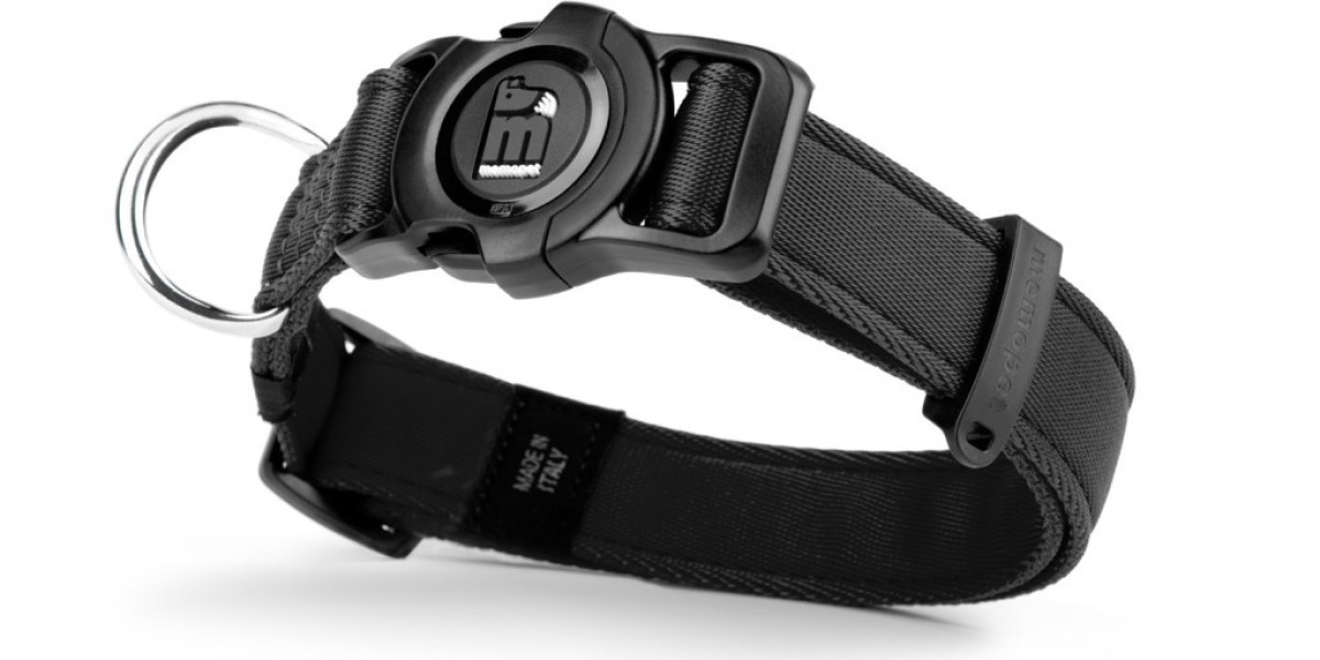 Smart Pet Collar Market Analysis Regional Opportunities and Market Dynamics