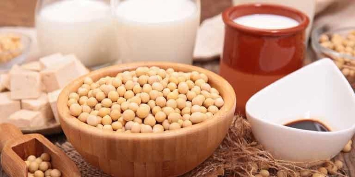 Soy and Milk Protein Ingredients: Regional Insights and Global Outlook