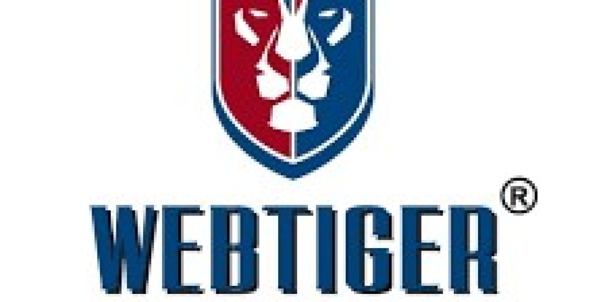 Unlock the Power of SEO with WebTiger: Premium SEO Services in Noida
