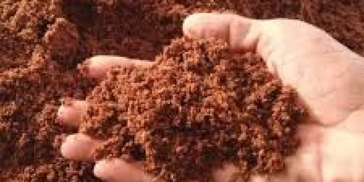 Coco Peat Market Analysis of Current and Future Industry Trends and Growth till 2031