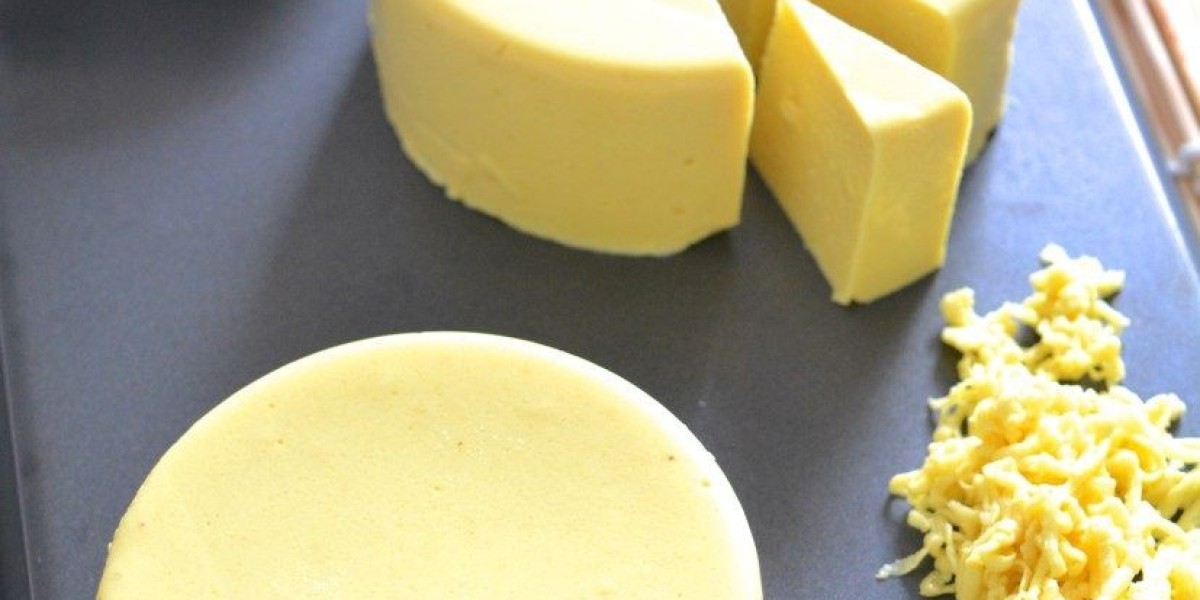 Vegan Cheese Market Outlook: How Innovations and Sustainability Influence Consumer Choices and Market Potential